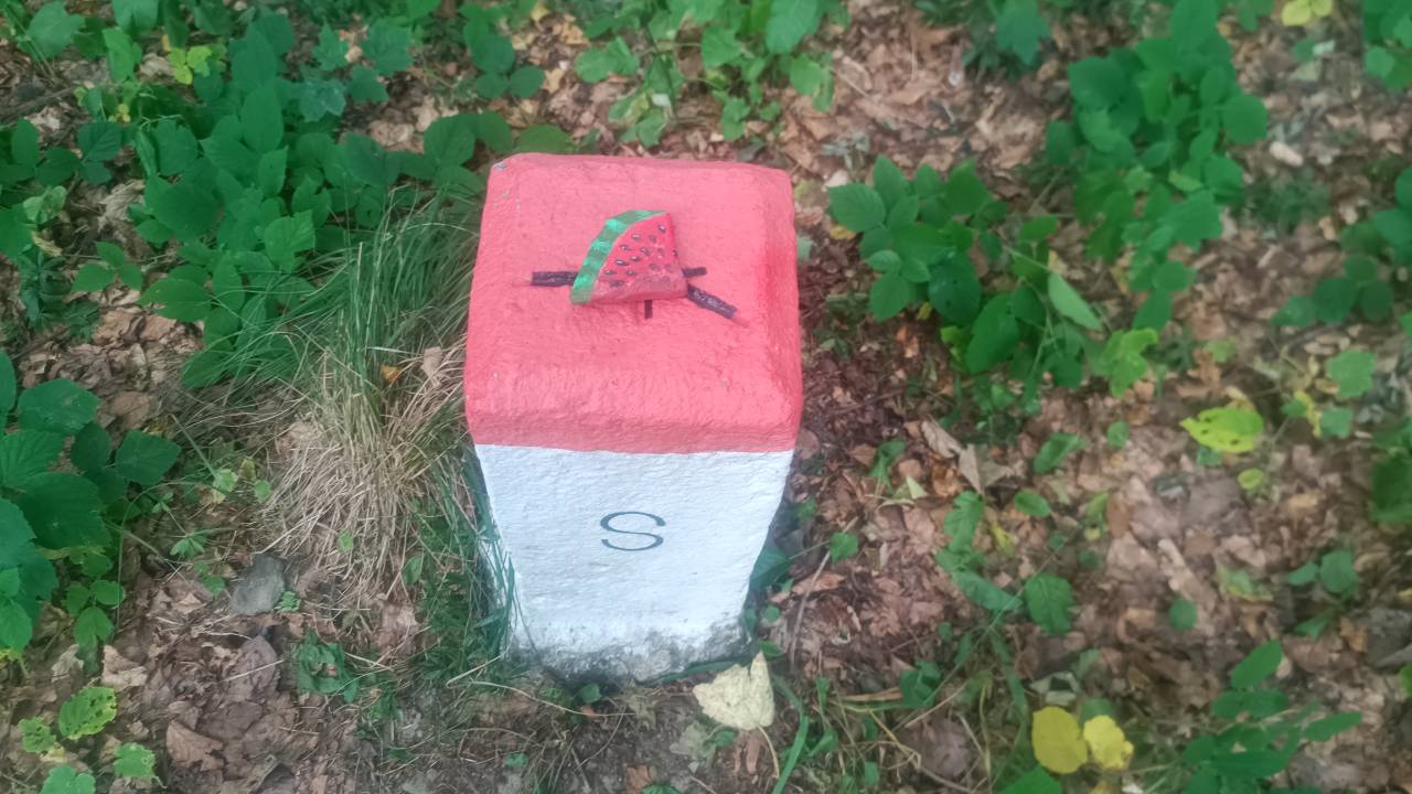 Arbuzik